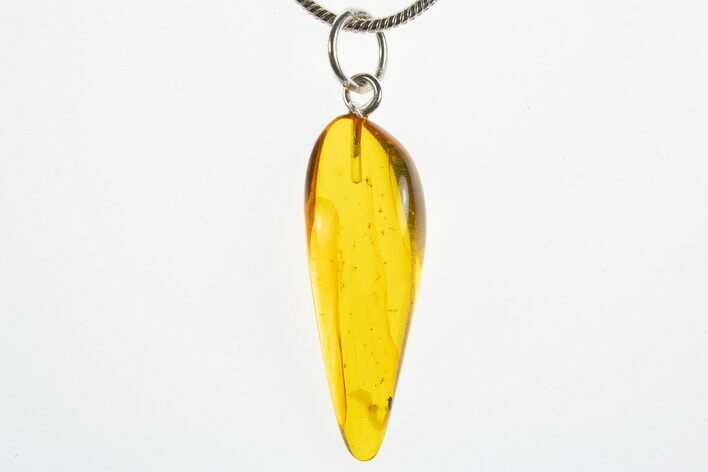 Polished Baltic Amber Pendant (Necklace) - Contains Fly! #311021